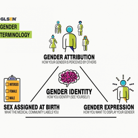 Infographic TEXT: Gender Terminology; Gender Attribution, how your gender is perceived by others; Sex Assigned at Birth, what the medical community labels you; Gender Expression, how you want to display your gender; Gender Identity, how you identify, see yourself. These four gender terms are arranged in a triangle with Gender Identity at the center. Accompanying the terms, respectively, are illustrations.